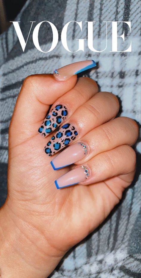 Dark Blue Cheetah Nails, Royal Blue Cheetah Nails, Royal Blue Leopard Nails, Blue Nails Leopard, Blue Leapord Nails, Cheetah Nails Summer, Blue Cheetah Print Nails, Blue Leopard Print Nails, Blue Cheetah Nails