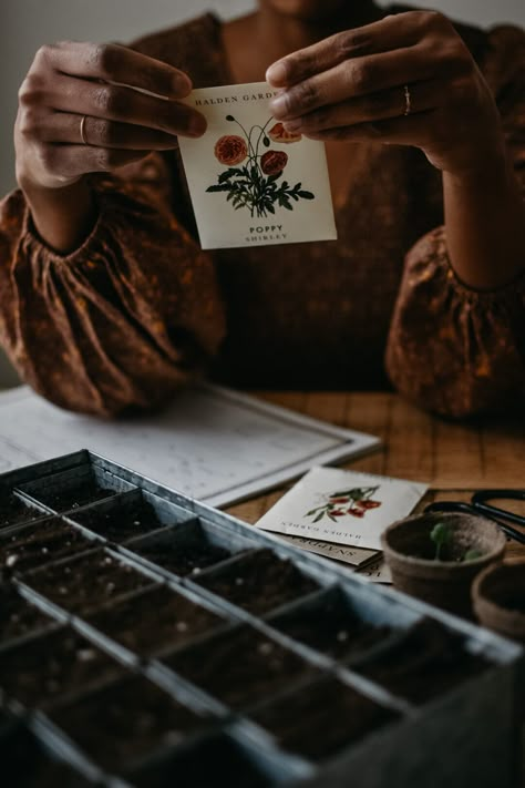 Seedlings Indoors, Tattoo Plant, Garden Patio Decor, Succession Planting, Aesthetic Garden, Garden Aesthetic, Garden Plans, Garden Photography, Medicinal Herbs