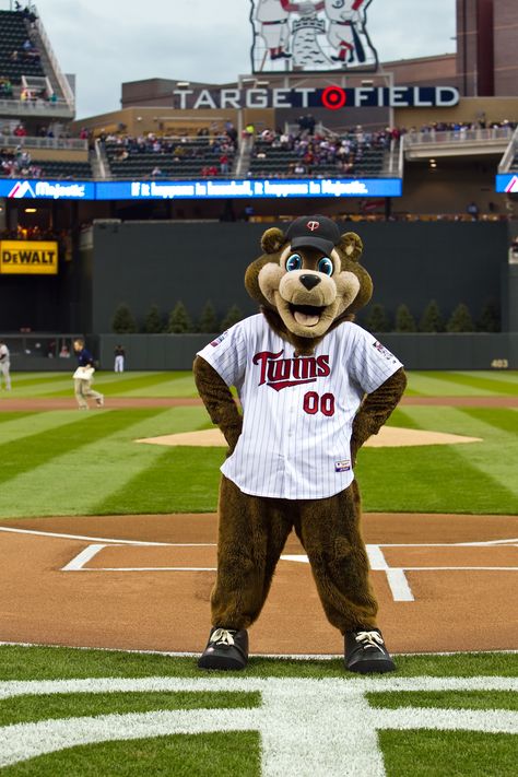 TC Bear - Minnesota Twins mascot. White Bear Lake Minnesota, Baseball Mascots, Target Field, Minnesota Twins Baseball, Baseball Room, Twins Baseball, Baseball Stuff, Minnesota Home, At Family