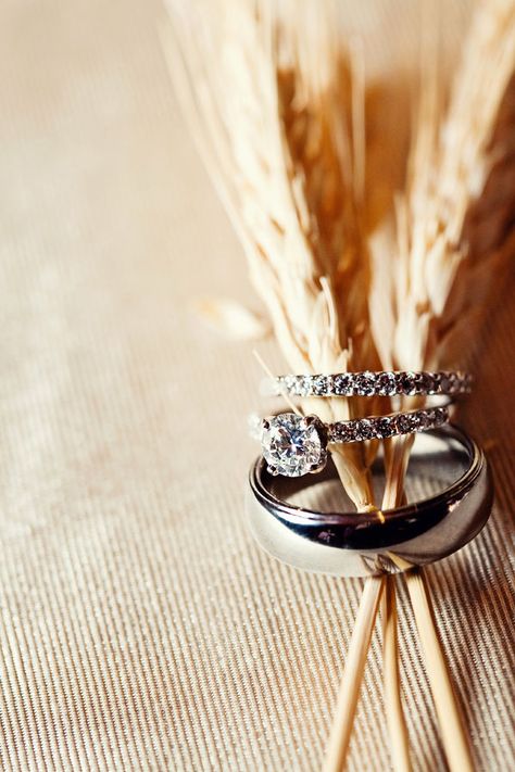 Rings & Wheat <3 Wheat Wedding, Wedding Ring Photography, Wedding Ring Shots, Country Wedding Photography, Ring Photography, Wedding Rings Photos, Country Rings, Wedding Details Photography, Ring Shots