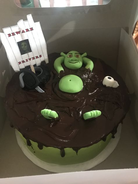 Shrek Cakes Ideas, Funny Shrek Cake, Shrek Birthday Cake Ideas, Shrek Swamp Cake, Cake Ideas 14th Birthday, Shrek Cake Ideas, Shrek Birthday Cake, Swamp Cake, Funny Cake Ideas