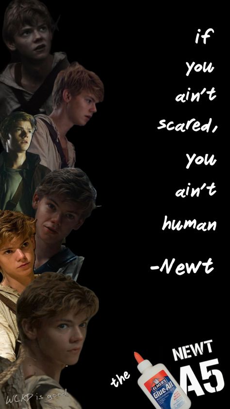 #mazerunner #newt #scorchtrials #deathcure #scary #bloodyaesthetic #blackandwhite #aeshetic #fyp #background #vibes #newtmazerunner #glade #quotes #books Newt Quotes, Quotes Books, Newt Maze Runner, Elmer's Glue, Newt, Maze Runner, Good Things, Human, Quotes