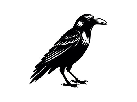 Crow Tattoo, Animal Silhouette, Halloween Animals, Silhouette Cricut, Black Bird, Tattoo Art, Car Decals, Vector Logo, Design Template