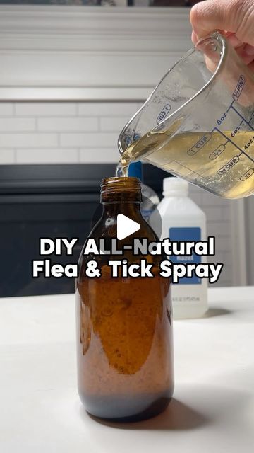 Wood Tick Repellent, Natural Flea And Tick Repellent For Dogs, Diy Flea And Tick Spray For Yard, Diy Flea And Tick Spray For Dogs, Diy Flea Spray For House, Homemade Flea Spray For Dogs, Diy Tick Repellent, Tick Spray For Yard, Flea Spray For House