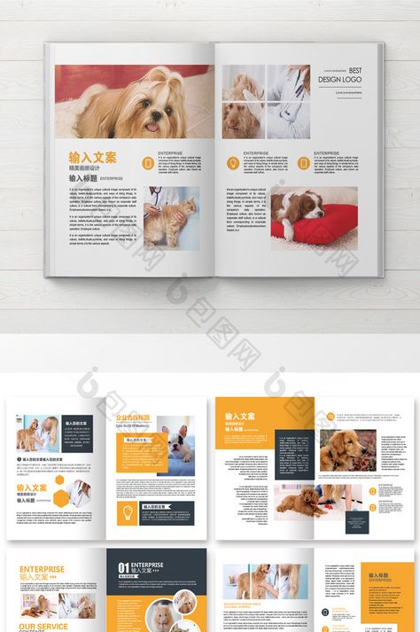 Cat Magazine Layout, Pet Magazine Layout, Animal Magazine Design, Dog Magazine Layout, Animal Magazine Layout, Pet Brochure, Design Supermarket, Ebook Layout, Typography Editorial