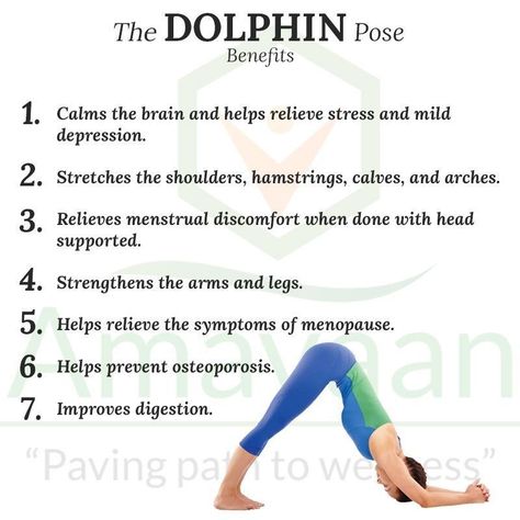 Dolphin Pose, Survival Videos, Yoga Facts, Ashtanga Vinyasa Yoga, Benefits Of Yoga, Daily Yoga Workout, Yoga Iyengar, Yoga Moves, Relaxing Yoga