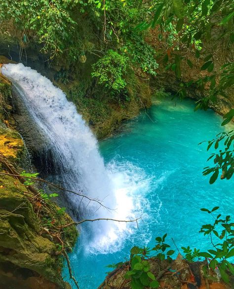 Cebu Photography, Kawasan Falls Cebu, Falls Philippines, Cebu Island, Kawasan Falls, Cebu Philippines, Butterfly Wallpaper, Cebu, Tahiti