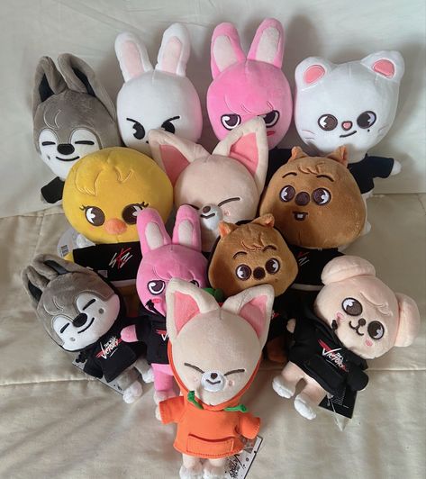 Skzoo Bouquet, Skzoo Toy, Skzoo Plushies Aesthetic, Skzoo Plushies, Skzoo Plushies Funny, Fake Skzoo Plushie, Lee Bit Skzoo Plush, Kids Zoo, Pinterest Room Decor