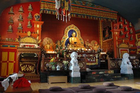 Medicine Buddha Altar Meditation Room Design, College Classroom, Amitabha Buddha, Temple Pictures, Elephant Journal, Buddhist Monk, Aesthetic Rooms, Tibetan Buddhism, Buddhist Temple