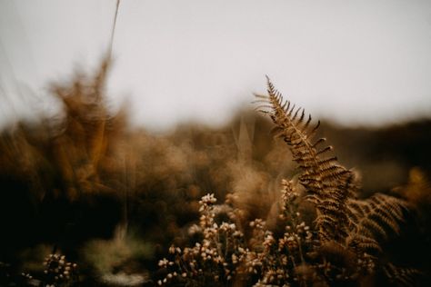 Nature Images Hd, Flower Background Images, Grass Wallpaper, Waves Crashing, Beach Images, Dark Flowers, Ocean Wallpaper, Black Rock, Sea Waves