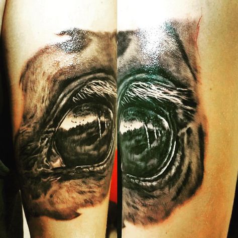 Stunning horse eye tattoo by @madconnytattoo Horse Eye Tattoo, Horse Archer, Tattoo Horse, Horse Tattoos, Cool Nature, Floral Tattoos, Horse Eye, Skeleton Hand Tattoo, Art Horse