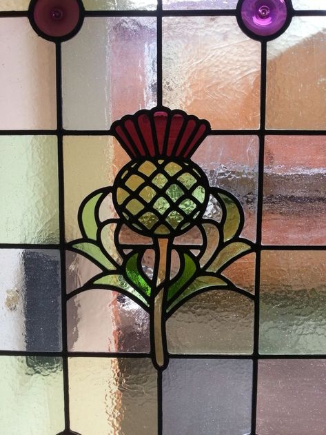 Stained glass thistle used on the side panel of a front door Windows Inspiration, Celtic Stained Glass, Thistle Pattern, Stained Glass Church, Stained Glass Jewelry, Stained Glass Flowers, Stained Glass Diy, Stained Glass Crafts, Stained Glass Designs