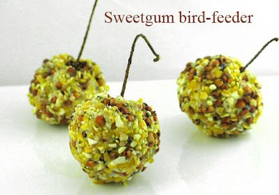 Sweet Gum Tree Crafts, Sweet Gum Tree, Pinecone Crafts Kids, Feeding Birds, Modern Floral Arrangements, Sweet Gum, Gum Tree, Cones Crafts, Pine Cone Crafts