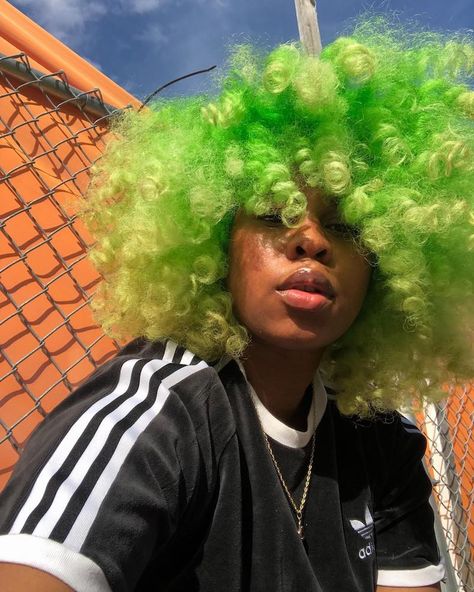 Paris Hair Color, Green Curly Hair, Loreal Paris Hair Color, Aesthetic Characters, Paris Hair, Dyed Curly Hair, Dip Dye Hair, Dye Hair, Dyed Hair Inspiration