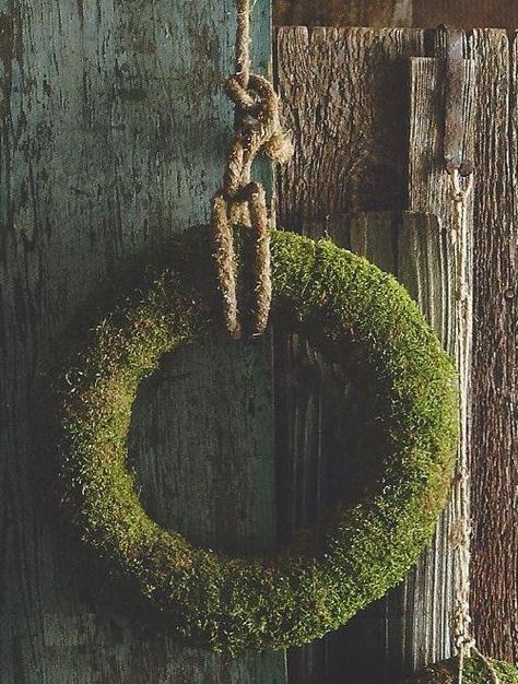 Moss Wreath, Foliage Wreath, Moss Terrarium, Wreath Christmas, Noel Christmas, Country Christmas, Christmas Love, Wreath Ideas, Antique Stores