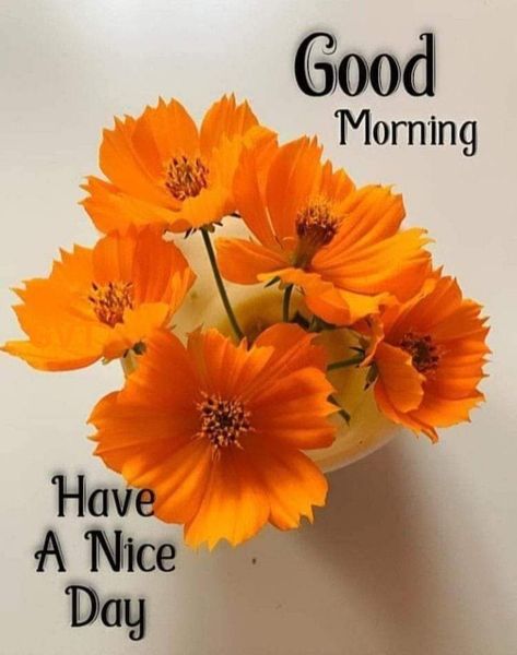 Good Morning Message, Good Morning Image, What Is Islam, Women Rights, Birthday Wishes Flowers, Morning Message, Good Morning Beautiful Flowers, Good Morning Flowers Pictures, Good Morning Beautiful Pictures