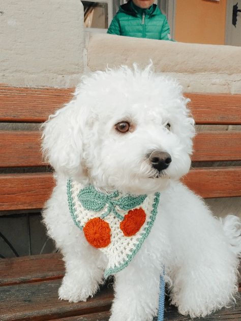 Dog Bandana Crochet Pattern, Crochet Dog Handkerchief, Crochet Dog Accessories, Crochet For Dogs, Crochet Dog Bandana, Crochet Dog Hat, Crochet Collar Pattern, Crochet Dog Clothes, Crochet Bandana