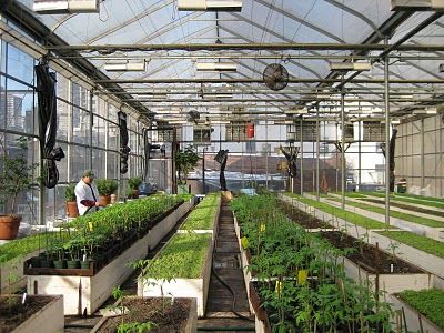 Eli Zabar's rooftop greenhouse in NYC Greenhouse On Rooftop, Rooftop Greenhouse, Greenhouse Farming, Large Greenhouse, Urban Agriculture, Future Farms, Wooden Greenhouses, Desain Lanskap, Greenhouse Growing