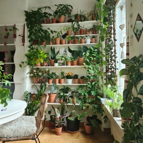 41 Unique Indoor Plant Wall Ideas For Big And Small Spaces Plant Aesthetics, Interior Inspiration Living Rooms, Plant Shelfie, Plant Storage, Indoor Plant Wall, Plant Indoor, Budget Home Decorating, Big Plants, Plant Aesthetic