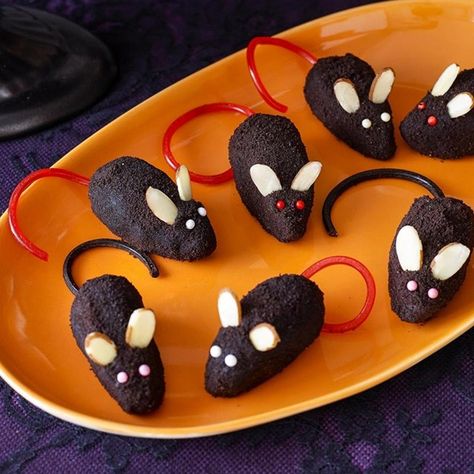 Chocolate Mice | "Kids will love these, they are whimsical and fun. Cute chocolate mice rolled in confectioners' sugar or chocolate cookie crumbs are very realistic." Chocolate Mouse Recipe, Chocolate Mice, Mouse Recipes, Sugar Mice, Party Food Bar, Postres Halloween, Dessert Halloween, Recetas Halloween, Spooky Halloween Treats