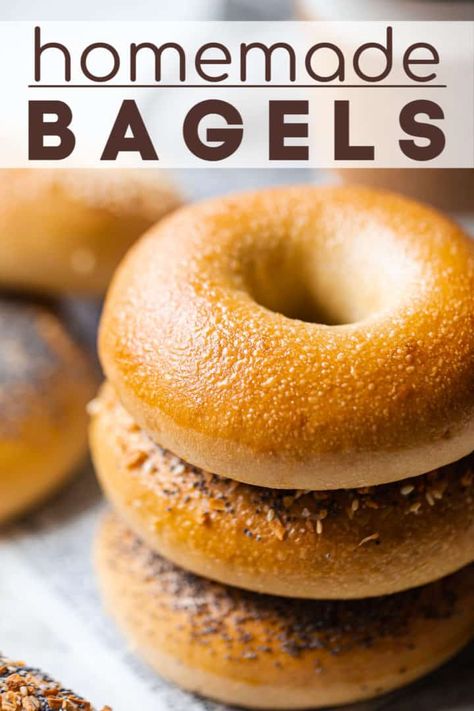 Fast Rising Yeast Recipes, Easy Few Ingredient Breakfast, Egg Bagels Recipe Homemade, Recipes For Bagels, Recipe For Bagels, Nyc Bagels Recipe, Plain Bagels Recipe Homemade, Easy Homemade Bagels Recipes, Soft Bagel Recipe