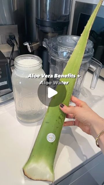 Diy Aloe Water To Drink, Aloe Drink Benefits, Aloe Vera Water Recipe, How To Make Aloe Vera Juice, Aloe Drink Recipe, Aloe Vera Drink Recipe, Aloe Water Recipe, Eating Aloe Vera, Aloe Recipes