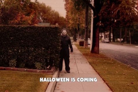 Halloween (1978) Halloween Aesthetic Scary, Widgets Medium, Halloween Tumblr, Aesthetics Tumblr, Halloween 1978, Halloween Is Coming, Easy Halloween Decorations, The Boogeyman, Fun Halloween Decor