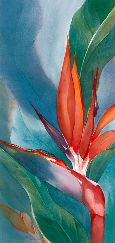 The Pulse of Paradise Bird Of Paradise Flower, Painting Birds, Paradise Plant, Colour Art, Forest Theme, Flower Paintings, 수채화 그림, Floral Inspiration, Tropical Art