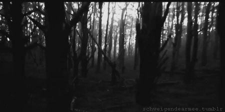 Emo Gif, Tv Texture, Horror Gif, Paranormal Videos, Witch Gif, White Gif, Gif Black, Black And White Gif, Wood Banner