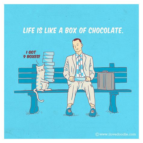 Life is like a box of chocolate Jd Salinger, Forest Gump, Spanish Memes, Forrest Gump, Memes Humor, Lucky Cat, Chocolate Box, Bones Funny, A Cat