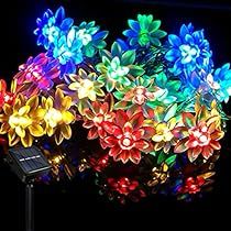 Flower Fairy Lights, Garden Hedges, Solar Flower, Christmas Fairy Lights, Solar String Lights Outdoor, Patio String Lights, Patio Fence, Solar String Lights, Light Garland