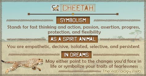 Cheetah Symbolism Spirit Animal Dream Cheetah Spirit Animal Meaning, Cheetah Symbolism, Cheetah Spirit Animal, Animal Totem Spirit Guides, Cat Spirit Animal, Spirit Animal Meaning, Totem Animals, Animal Meanings, Spirit Animal Totem