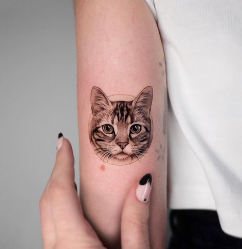 Tabby Cat Tattoo, Tato Idea, Female Half Sleeve, Tattoo Gato, Tattoo Pet, Cat Portrait Tattoos, Micro Realism, Tattoos 2024, Cats Tattoo