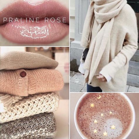 Brooke, {Senegence ID #405524} (@brookebauerbeauty) on Instagram: “Cozy sweaters, a hot beverage, and the perfect neutral lip color. Praline Rose Lipsense, Neutral Lip Color, Lipsense Lip Colors, Lip Tips, Lipsense Gloss, Senegence Makeup, Senegence Lipsense, Colour Remover, Lipsense Colors