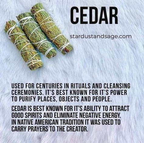 Cedar Smudge Sticks, Eucalyptus Smudge, Sage Healing, Spiritual House, Cedar Smudge, Magickal Herbs, Rosemary Lavender, Native American Traditions, Magic Herbs