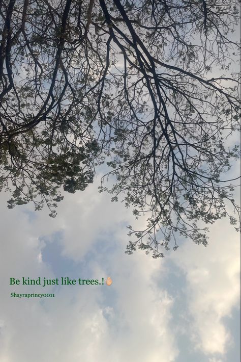 Sky 
Nature 
Quotes 
Feeling Caption For Trees And Sky, Nature Thoughts Quotes, Sky Captions, Short Trees, Hand Quotes, Tree Quotes, Short Instagram Quotes, Sky Quotes, Quotes For Guys