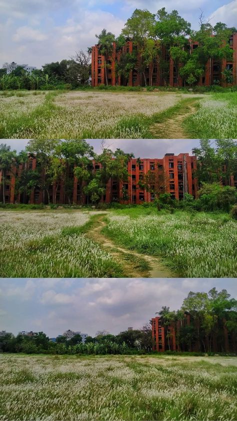 Jahangirnagar University Nalsar University, Jahangirnagar University, Instagram Collage, University, Collage, Quick Saves, Instagram, Nature