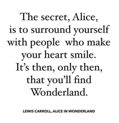 Sophiacore Aesthetic, Fairytales Quotes, Dear Alice, Alice And Wonderland Quotes, Author Quotes, Literature Quotes, Writing Quotes, Disney Quotes, Poem Quotes