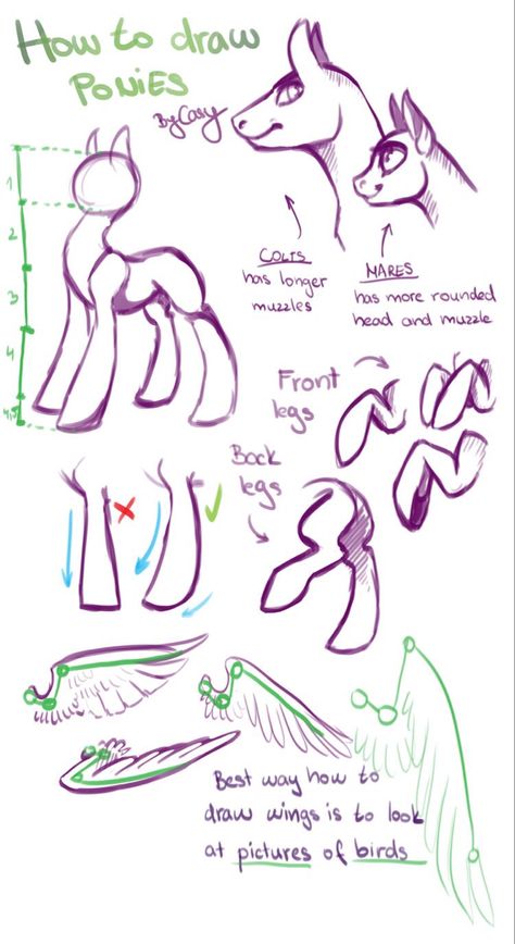 My Little Pony Drawing, Pony Drawing, Poses References, Guided Drawing, Anatomy Reference, Art Base, Art Tutorials Drawing, Drawing Base, Drawing Poses