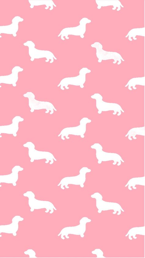 Cute Dachshund Wallpaper, Dashound Wallpaper Iphone, Dachshund Phone Wallpaper, Weenie Dog Wallpaper, Weiner Dog Wallpaper, Dachshund Wallpaper Iphone, Daschund Wallpaper, Pink Dachshund, Dachshund Wallpaper