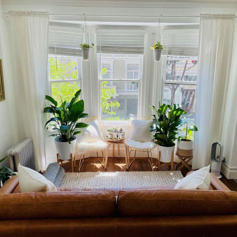 400 Square Foot San Francisco Studio with 40 Plants | Apartment Therapy Bay Window Living Room, Sf Apartment, Bright Furniture, Beach Bungalow, Fit Over 40, Living Room Windows, White Furniture, Room Layout, Small Living Room