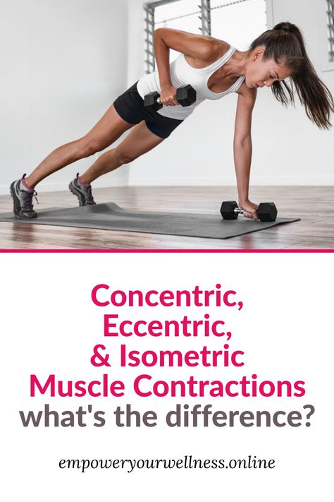 Hit your fitness goals by learning all the lingo to help you out! Learn the difference between concentric, eccentric, and isometric muscle contractions. Whether you're a fitness beginner, into weight training workouts, or trying Pilates, understanding these concepts will help you reach your fitness goals. Concentric Vs Eccentric, Fitness Beginners, Lose 60 Pounds, Types Of Muscles, Strength Training For Runners, Strength Workouts, Bicep Muscle, Womens Fitness, Training Workouts