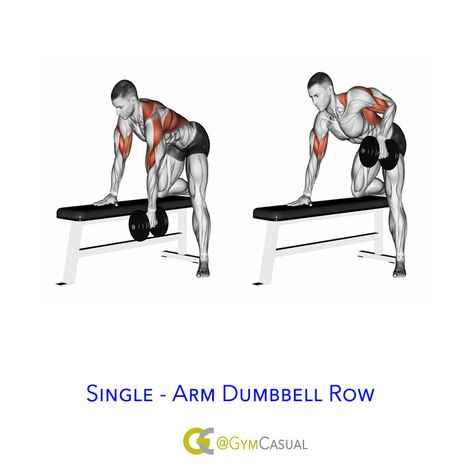 Single-arm dumbbell row Single Arm Db Row, Single Arm Dumbbell Row, One Arm Dumbbell Row, Dumbbell Row, One Arm Row, Single Arm Row, Workout Program Gym, T Bar Row, Monday Workout