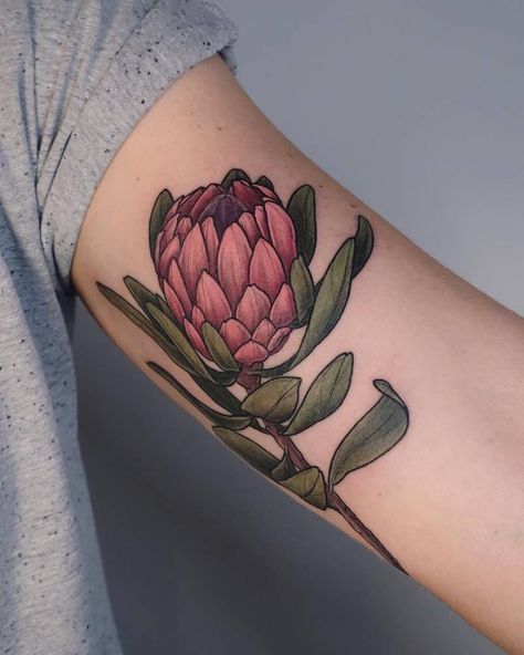 Protea tattoo Protea Flower Tattoo, Protea Tattoo, Tattoos Plants, Flower Tattoo Meaning, Flower Shoulder Tattoo, Floral Thigh Tattoos, Flower Tattoo Meanings, Anklet Tattoos, Protea Flower