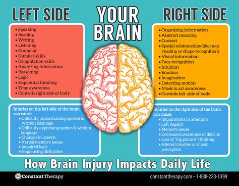 Left side vs. right side of brain | brain injury or stroke Left Brain, Brain Facts, Brain Anatomy, Brain Gym, Injury Recovery, Brain Science, Medical Examination, Right Brain, Nursing Notes