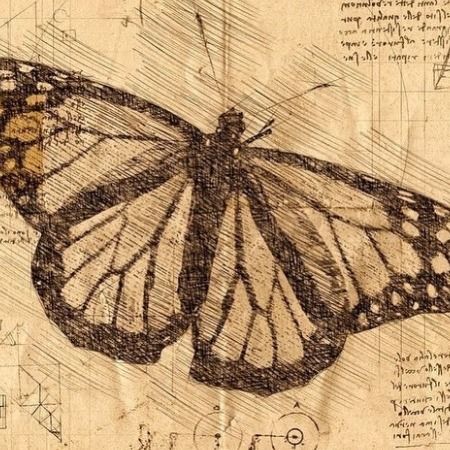 — ISFJ - if the world makes you confused and your... Mine Drawing, Drawing Butterfly, I Am Here, Not Mine, Writing, The World, Drawings