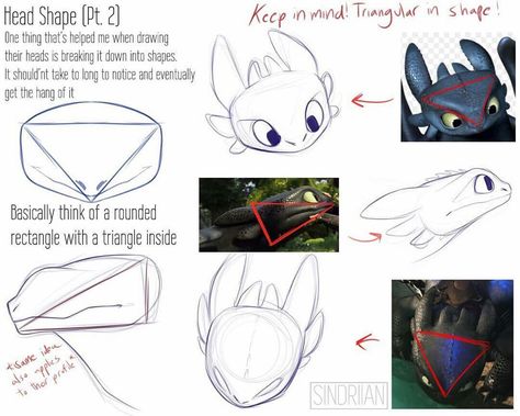 Toothless Drawing, Ako Kresliť, Dragon Anatomy, Httyd Art, Animal Drawings Sketches, Dragon Sketch, Httyd Dragons, Dragon Trainer, Sketches Tutorial