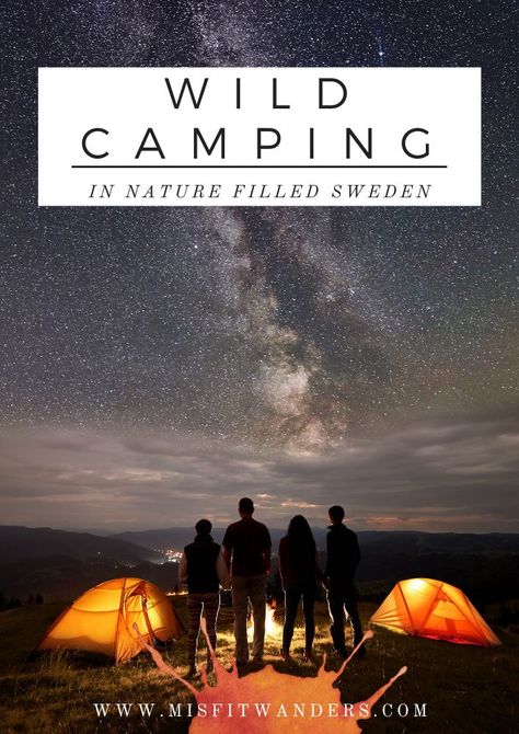 Learn about some great places you can start wild camping in Sweden. Since Sweden has a law that gives freedom to roam, it makes it easy to camp out in nature. Sweden is covered in wilderness and all kinds too. It depends on what you want to see for your camping experience in order to decide which place is right for you. Check it out here! What To Bring Camping, Sweden Nature, Camping Europe, Europe Adventure, Adventurous Travel, Out In Nature, Traveling Europe, Wild Camp, Wild Camping