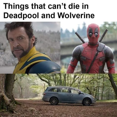 Deadpool Pictures, Logan Howlett, Deadpool Funny, Lgbtq Quotes, Deadpool And Wolverine, Wolverine Hugh Jackman, Marvel Comics Superheroes, Deadpool Wolverine, Horse Quotes