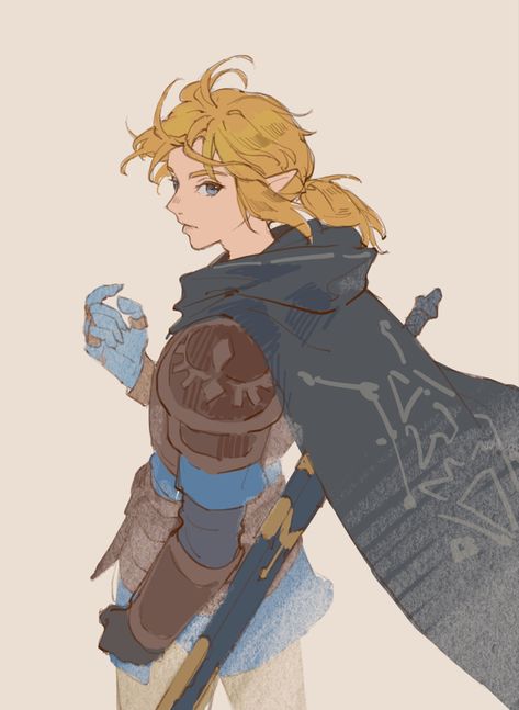 Tears Of The Kingdom Link, Link Zelda Art, Link Fan Art, Link Fanart, Botw Zelda, Zelda Tears Of The Kingdom, Tears Of The Kingdom, Link Zelda, Zelda Art